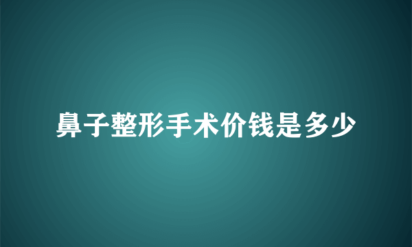 鼻子整形手术价钱是多少