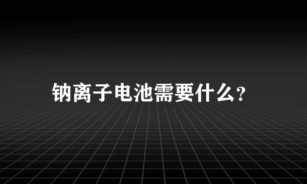 钠离子电池需要什么？