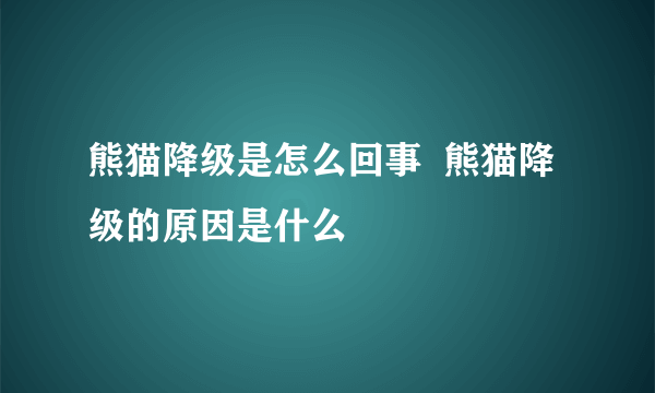 熊猫降级是怎么回事  熊猫降级的原因是什么