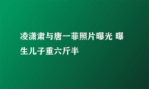 凌潇肃与唐一菲照片曝光 曝生儿子重六斤半