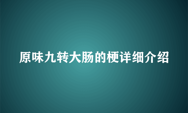 原味九转大肠的梗详细介绍