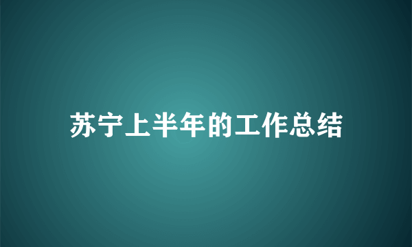 苏宁上半年的工作总结