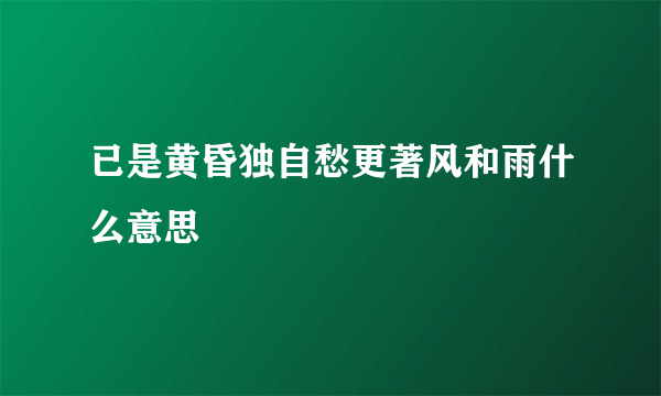 已是黄昏独自愁更著风和雨什么意思