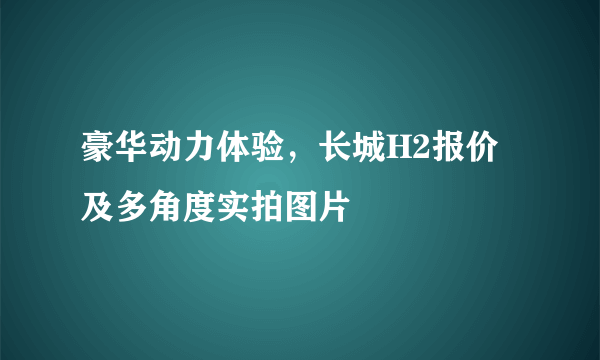 豪华动力体验，长城H2报价及多角度实拍图片