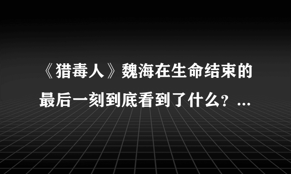 《猎毒人》魏海在生命结束的最后一刻到底看到了什么？是黑暗还是光明？