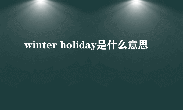 winter holiday是什么意思