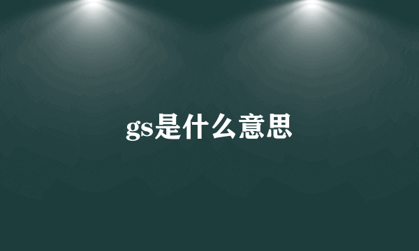 gs是什么意思