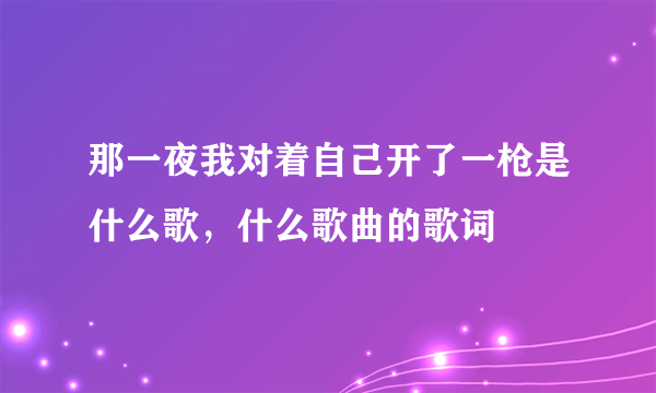 那一夜我对着自己开了一枪是什么歌，什么歌曲的歌词