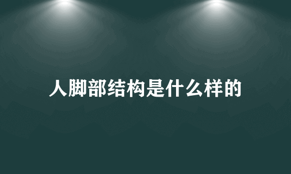 人脚部结构是什么样的