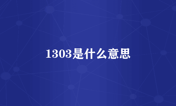 1303是什么意思