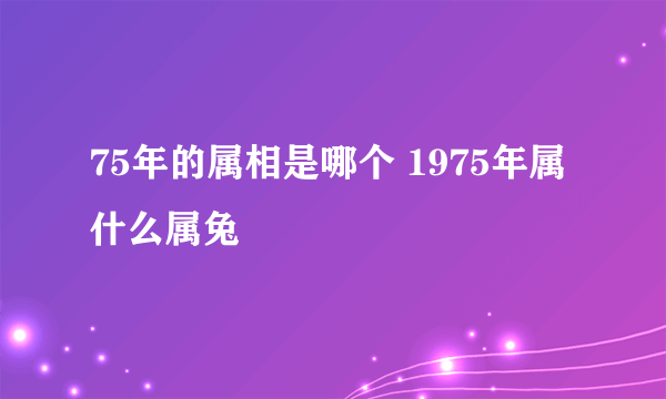 75年的属相是哪个 1975年属什么属兔