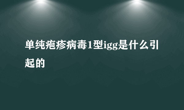 单纯疱疹病毒1型igg是什么引起的