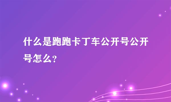 什么是跑跑卡丁车公开号公开号怎么？