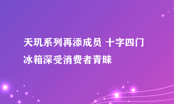 天玑系列再添成员 十字四门冰箱深受消费者青睐