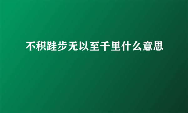 不积跬步无以至千里什么意思