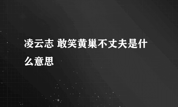 凌云志 敢笑黄巢不丈夫是什么意思