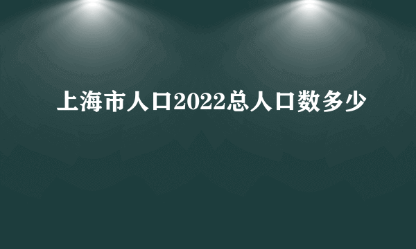 上海市人口2022总人口数多少