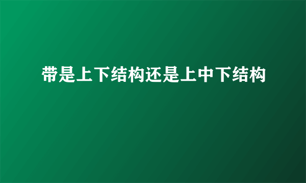 带是上下结构还是上中下结构