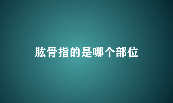 肱骨指的是哪个部位