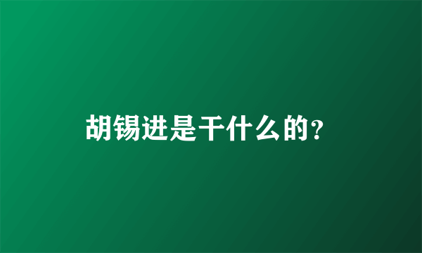 胡锡进是干什么的？