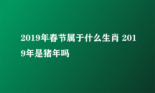 2019年春节属于什么生肖 2019年是猪年吗