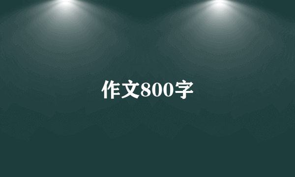 作文800字