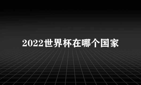 2022世界杯在哪个国家