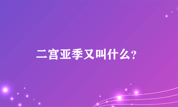 二宫亚季又叫什么？