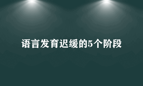 语言发育迟缓的5个阶段