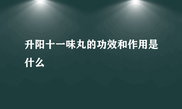 升阳十一味丸的功效和作用是什么