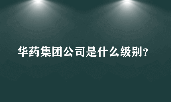 华药集团公司是什么级别？