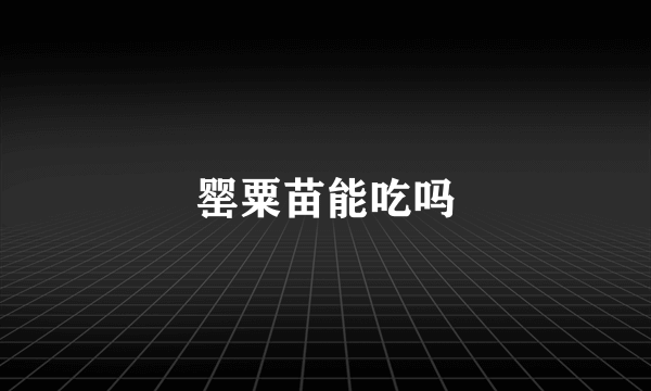 罂粟苗能吃吗