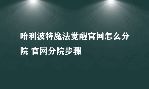 哈利波特魔法觉醒官网怎么分院 官网分院步骤