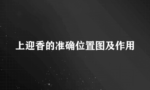 上迎香的准确位置图及作用