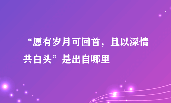 “愿有岁月可回首，且以深情共白头”是出自哪里