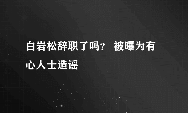 白岩松辞职了吗？ 被曝为有心人士造谣