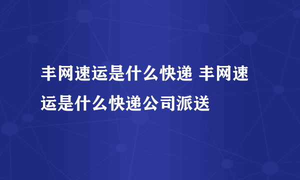 丰网速运是什么快递 丰网速运是什么快递公司派送