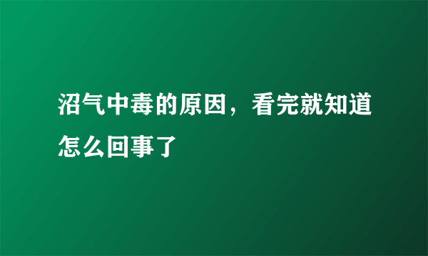 沼气中毒的原因，看完就知道怎么回事了