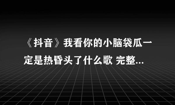 《抖音》我看你的小脑袋瓜一定是热昏头了什么歌 完整歌词分享