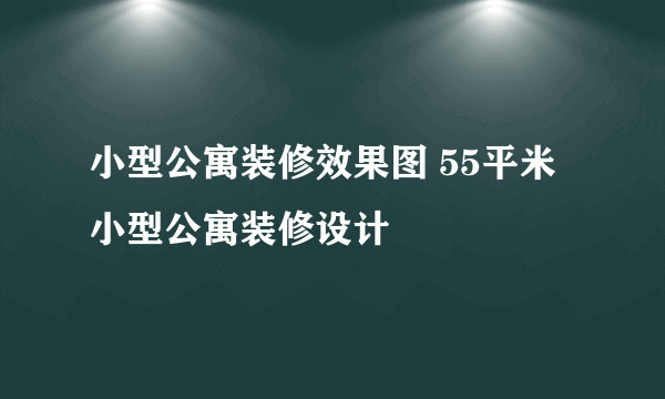 小型公寓装修效果图 55平米小型公寓装修设计