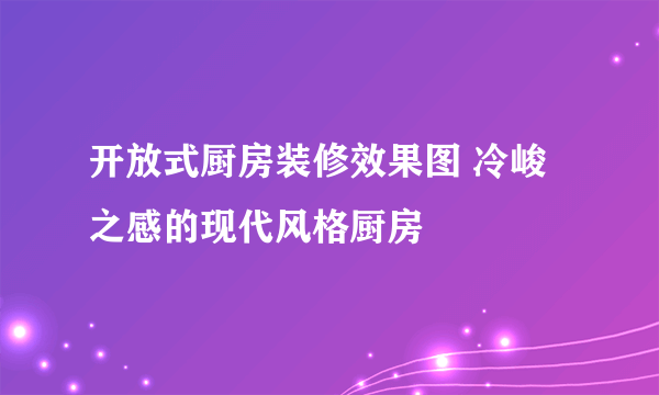 开放式厨房装修效果图 冷峻之感的现代风格厨房