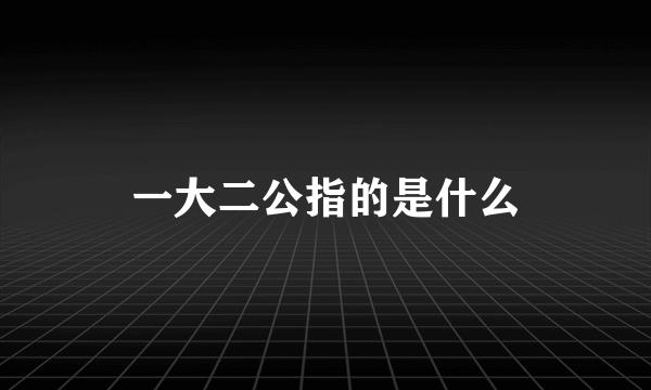 一大二公指的是什么