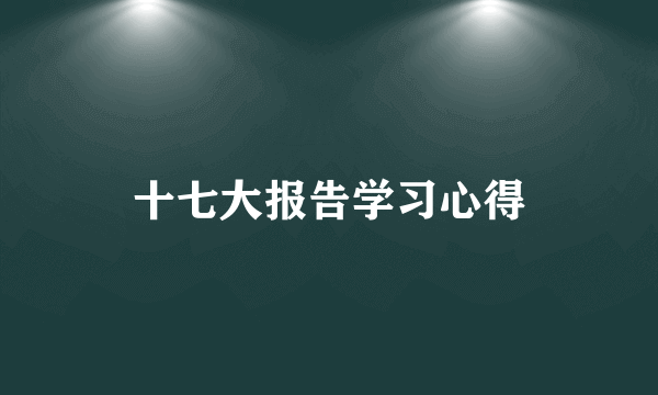 十七大报告学习心得