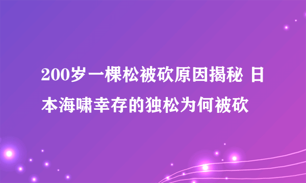 200岁一棵松被砍原因揭秘 日本海啸幸存的独松为何被砍