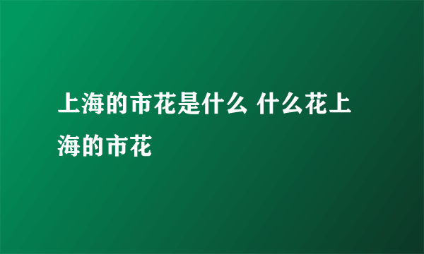 上海的市花是什么 什么花上海的市花