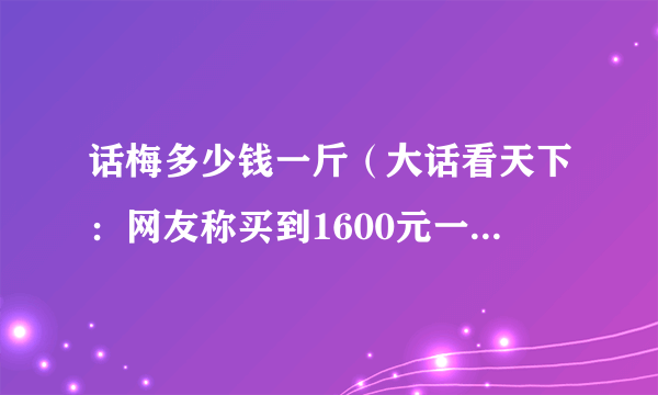 话梅多少钱一斤（大话看天下：网友称买到1600元一斤话梅）