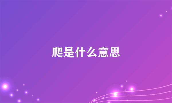 爬是什么意思