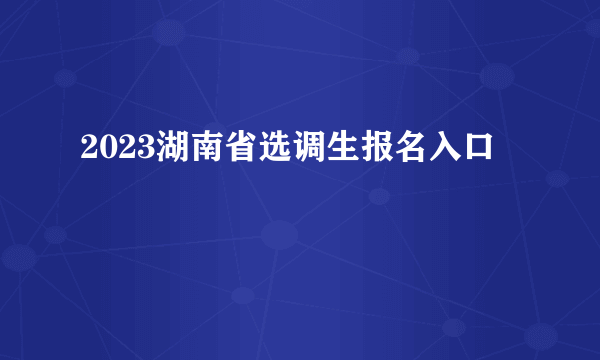 2023湖南省选调生报名入口