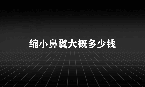 缩小鼻翼大概多少钱