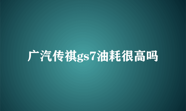 广汽传祺gs7油耗很高吗